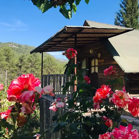Olympos Otantik Pansiyon Cakirlar