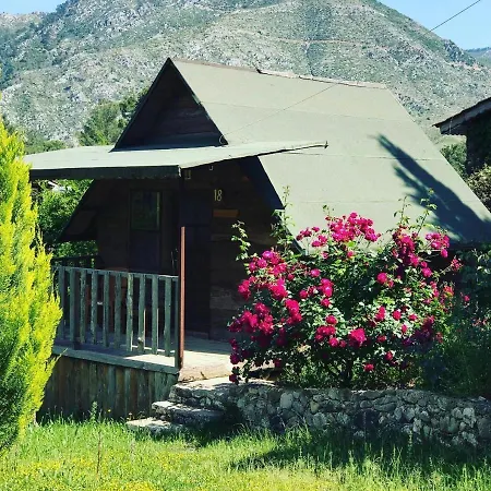 Oda ve Kahvaltı Olympos Otantik Pansiyon *